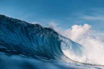 Perfect barrel wave in ocean. Breaking wave with sun light