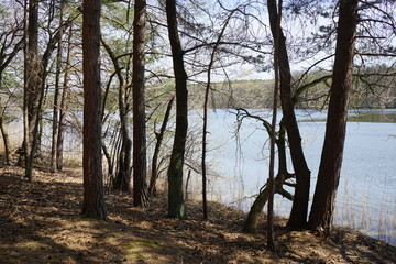 Wanderung am Sacrower See