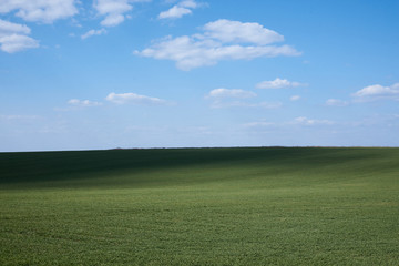 Beautiful field landscape. Countryside village rural natural background at sunny weather in spring summer. Green grass and blue sky with clouds. Nature protection concept.
