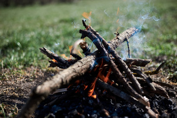 Close-up picture of bonfire, made of dry branches, outside on green grass at sunny weather in summer.