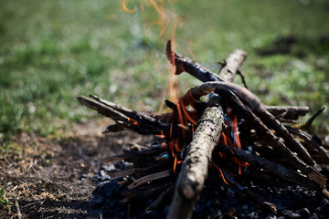 Close-up picture of bonfire, made of dry branches, outside on green grass at sunny weather in summer.
