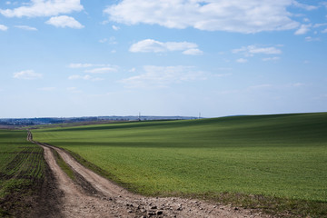Beautiful field landscape. Countryside village rural natural background at sunny weather in spring summer. Green grass and blue sky with clouds. Nature protection concept.