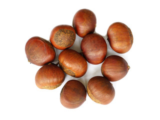 Chestnuts isolated on white background