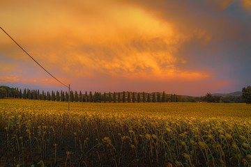Breathtaking wide angle view of the beautiful sunset over the road with the storm front and orange clouds in Tuscany, Italy