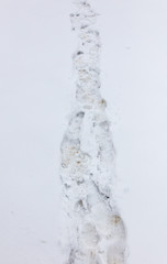Traces of a man on white snow as a background.