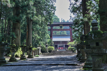 japanese garden in the park