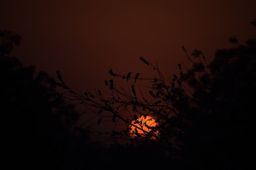 sunset in hinterland