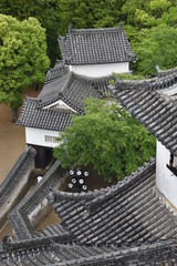 新緑の姫路城