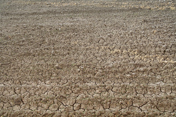 Cracked soil from drought - obrazy, fototapety, plakaty