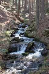 Arroyo de la Chorranca in Valsain, Segovia, Castilla y Leon, Spain, Europe. Fast and fresh mountain water stream - obrazy, fototapety, plakaty