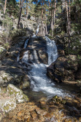 Arroyo de la Chorranca in Valsain, Segovia, Castilla y Leon, Spain, Europe. Fast and fresh mountain water stream - obrazy, fototapety, plakaty