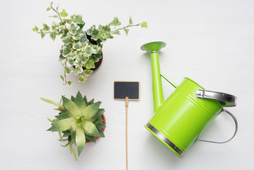 Green plants in a flower pots, watering can and nameplate on white wooden table background.