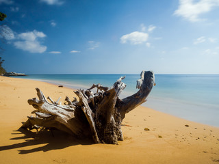 Sea shore in Sitapur beach, Andamans, India, at daytime with blue sky