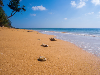 Sitapur beach view in the Andamans, India, with a clear sky in daytime. Picturesque view with pebbles on the beach in the foreground.