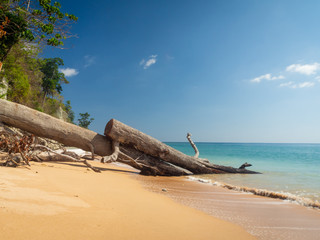Fototapeta na wymiar Sunny day on the beach with clear sky in the Andaman island, India