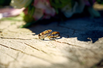 Golden ringsa