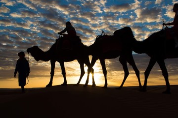 Camels take people deep into the Sahara desert