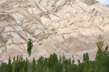 Leh,aldakh,Jammu And KashmirIndia-17-04-2019:Photos taken in Leh,Ladakhregion,India.