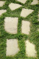 Vertical image of stone walkway in the green grass field 