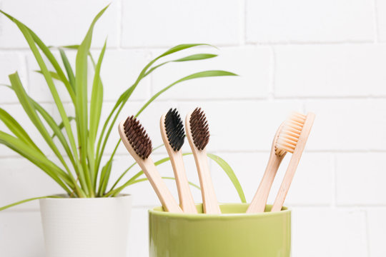 bamboo tooth zetas in green cup on white brick wall background, social distance concept, copy space, eco friendly lifestyle, potted flower