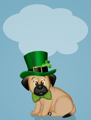 little dog celebrates St. Patrick's day