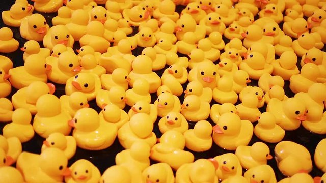mass of yellow rubber ducks swimming in a pool in dark water. Relax