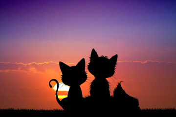 silhouette of cats couple