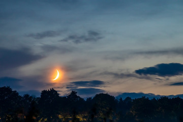 West of the Moon, Hungary