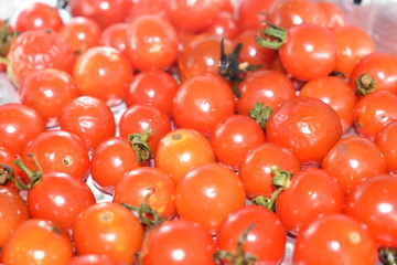 Bunch of red tomato