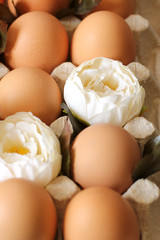 Eggs and flowers in a tray. Background