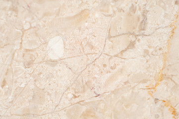 White marble natural stone slice flat texture background.