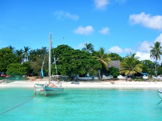 Tropical island with boat in turquoise water and palm trees