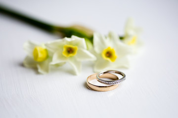 Two wedding gold rings, one is plain and another one is with little diamonds with white and yellow daffodils on the white background