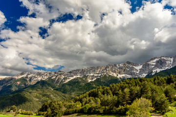 Fototapeta na wymiar Green pine forest and mountains covered with snow (region of Cerdanya, Catalonia, Spain)