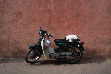 Obraz na płótnie Canvas Schlafende Katze auf Motorroller in Marrakesch