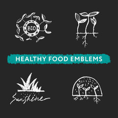 Vector healthy food sketch icons. Eco-friendly emblems for agriculture logo and organic food label design. Eco badge with silhouette leaf. Growth symbol with Botanical Ingredients for bio cosmetics.