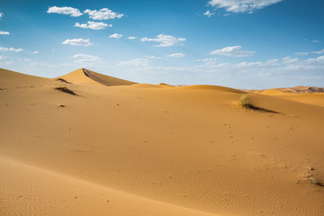 Fototapeta na wymiar Amazing panoramic over the sand dunes in the Sahara desert, Morocco, Africa.
