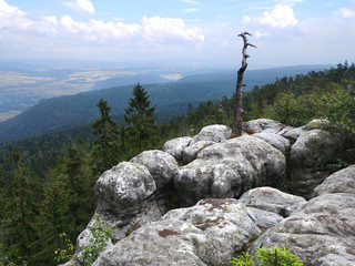 Góry - Polska - Szczeliniec - krajobraz