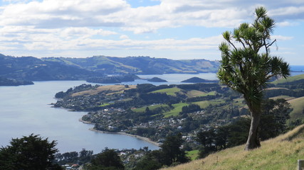 Fototapeta na wymiar Landscape Dunedin New Zealand