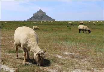P&acirc;turage au mont