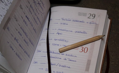 Matita durante una giornata di smart working in primavera 2020