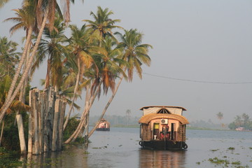 dans le Kerala les backwaters