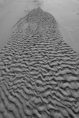 Wild Florida, Topsail Hill Preserve, Walton County Florida