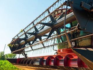 Wheat harvesting in the summer. Red harvester working in the field. Golden ripe wheat harvest...