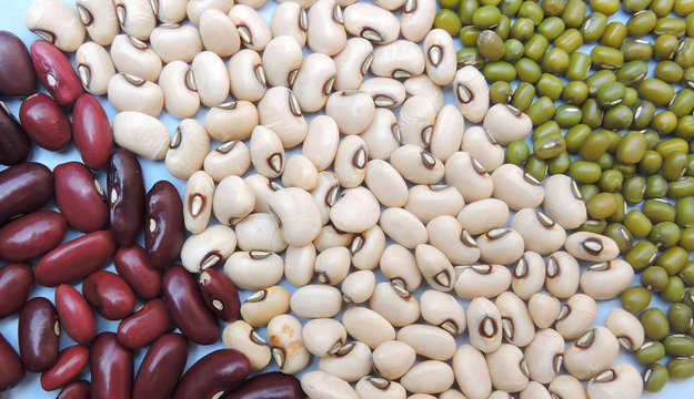 Three widely consumed beans in India in isolated background. These are red kidney beans, black eyed beans and mung beans. 