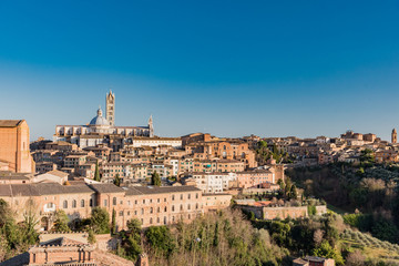 Fototapeta na wymiar medieval architecture in Tuscany city of Siena