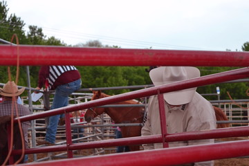 Cowboys in a rodeo behind a red fence.