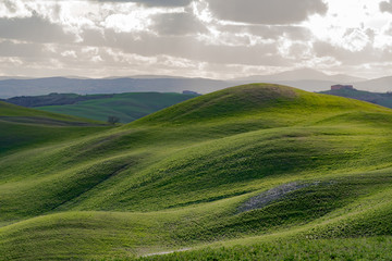 Fototapeta premium Lands of Tuscany in the Province of Siena Italy
