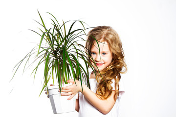 Fototapeta premium Flower in a flower pot in children's hands. Homemade palm tree in a white pot. Little girl holds a flower in her hands.