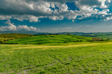Fototapeta na wymiar Lands of Tuscany in the Province of Siena Italy